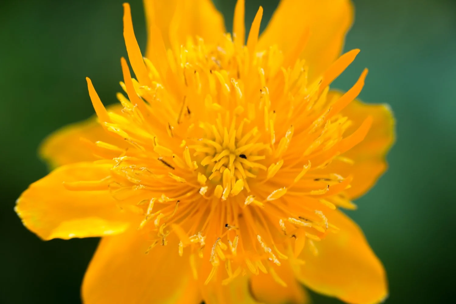 20150628 20150628 IMG_7188.jpg