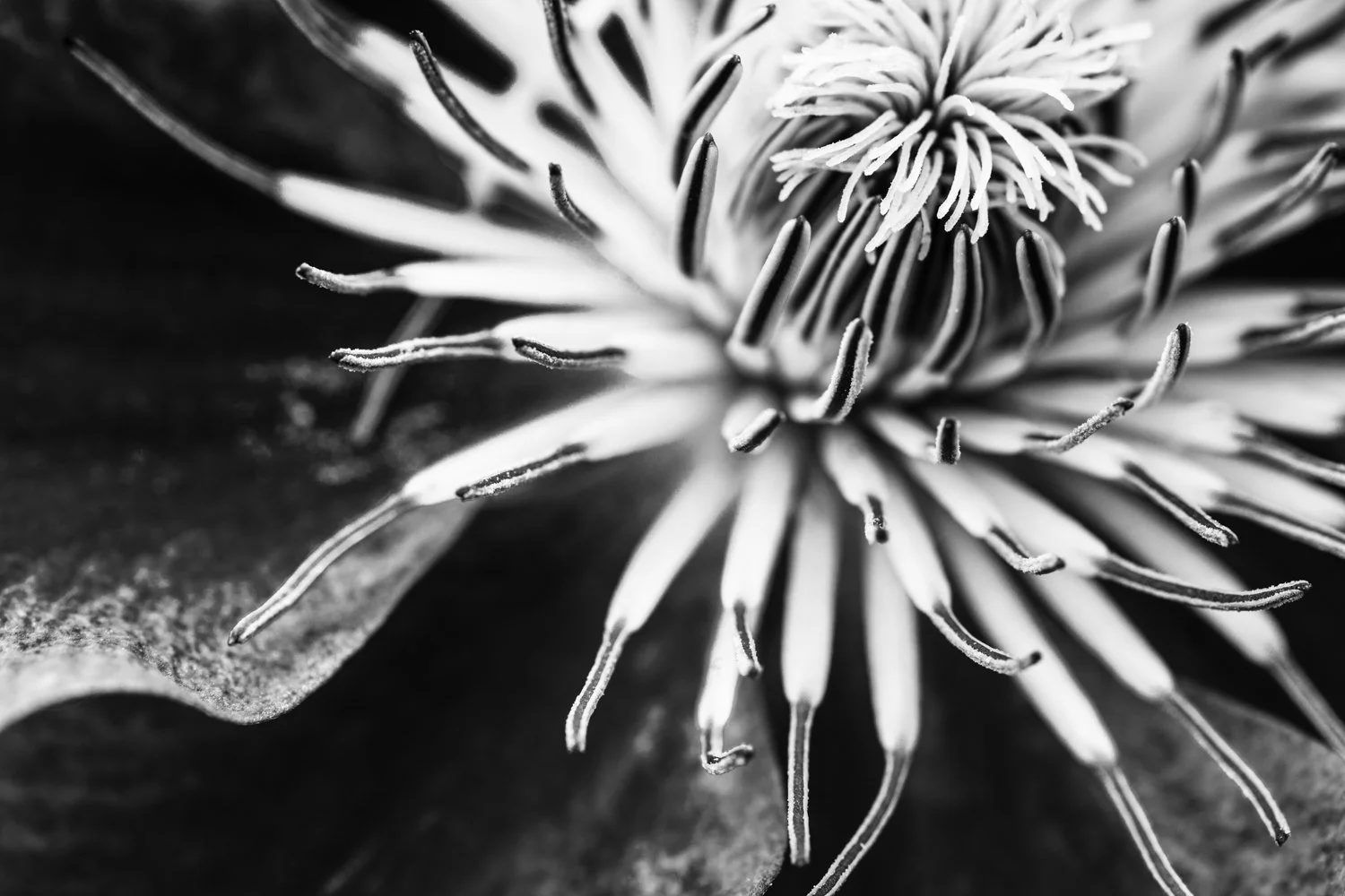 20150607 IMG_6942-Edit.jpg