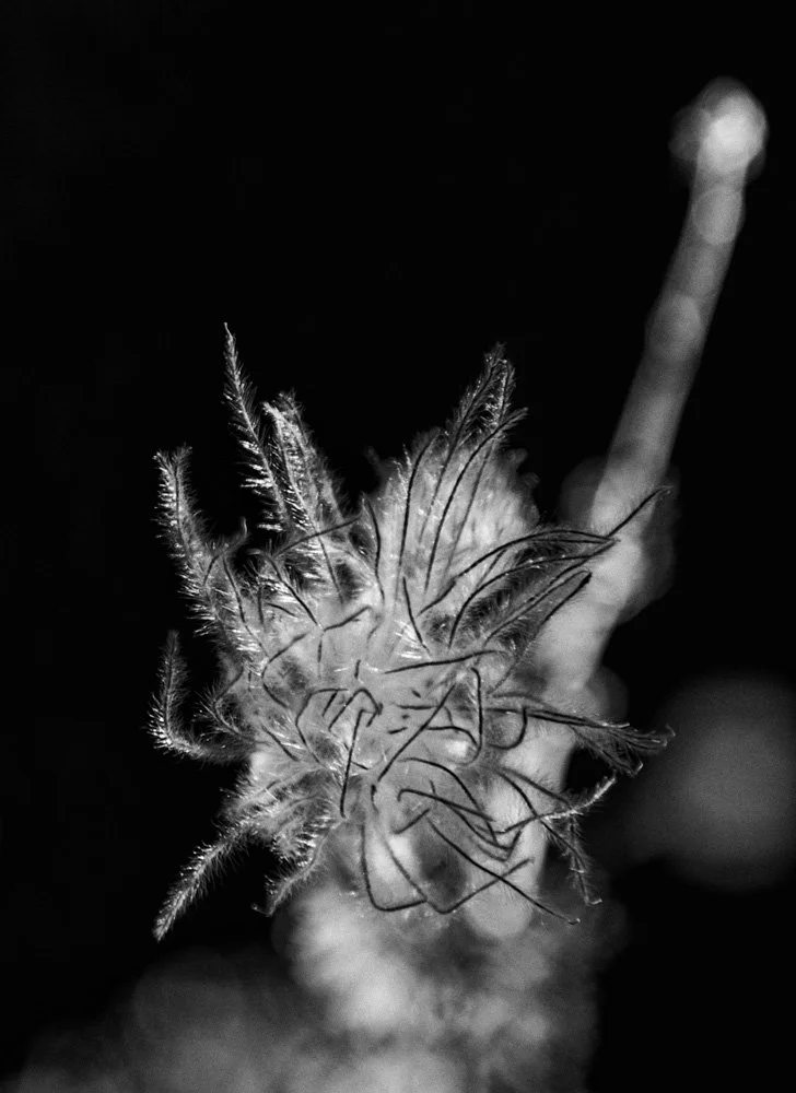 20160528 IMG_0896-Edit.jpg