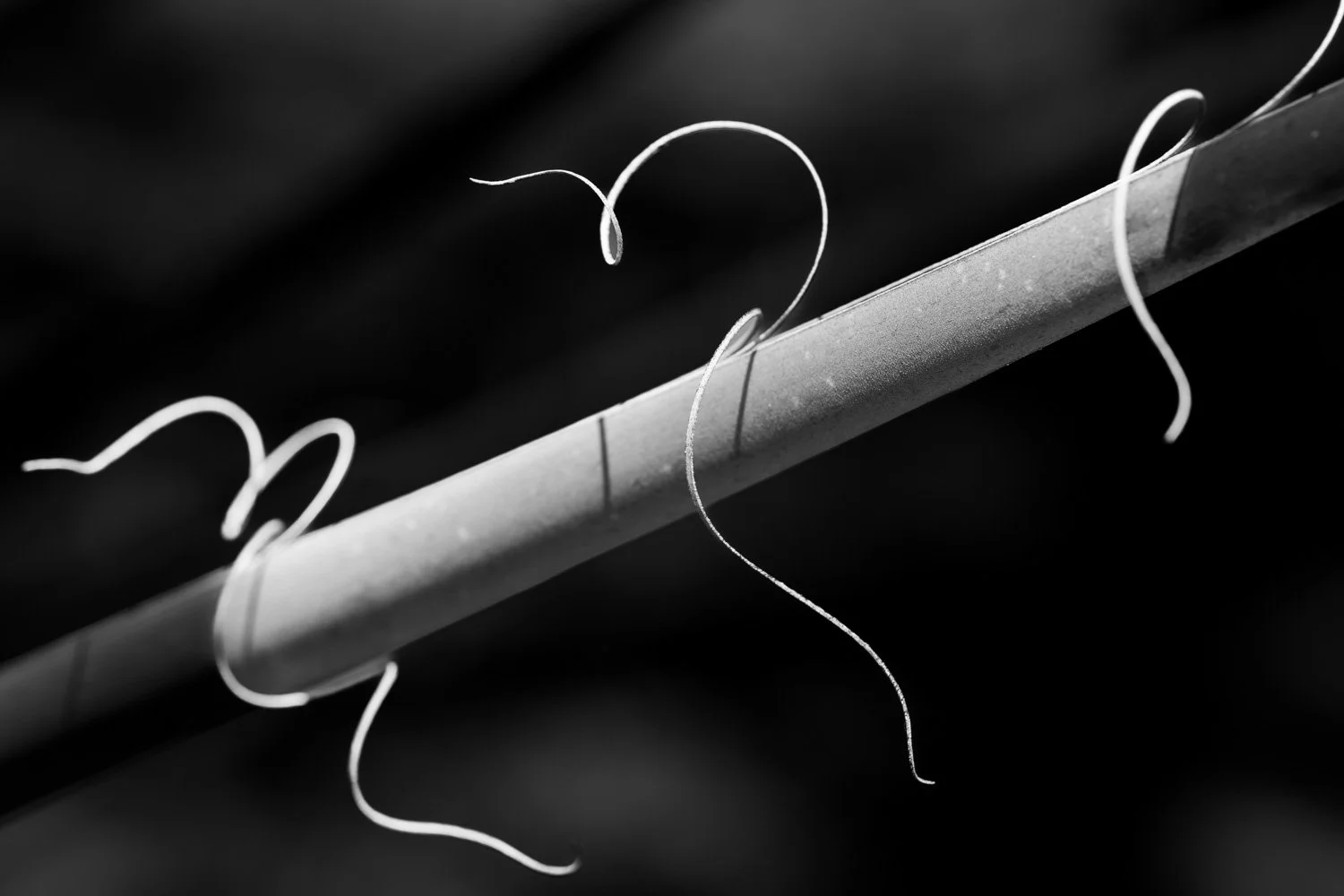 20160528 IMG_0817-2.jpg