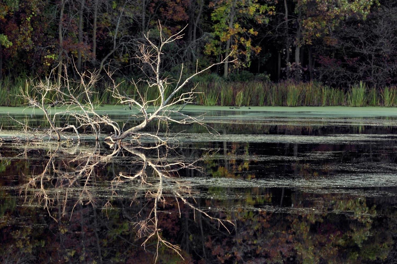 20140928 20140928 IMG_2847-Edit-3.jpg