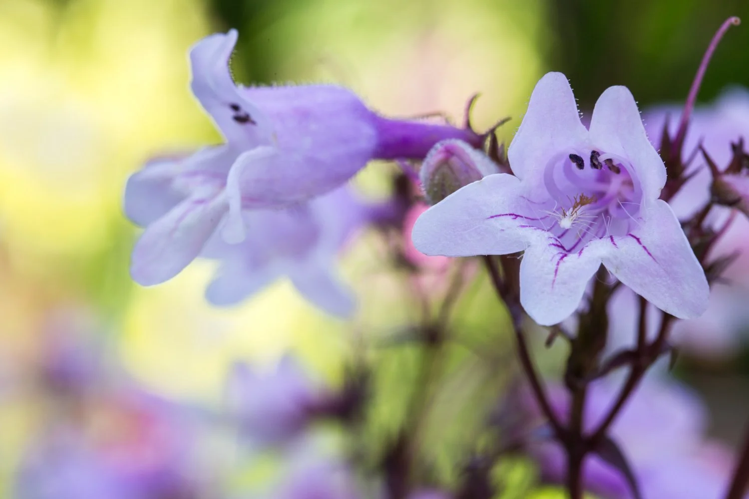 20150628 20150628 IMG_7176.jpg