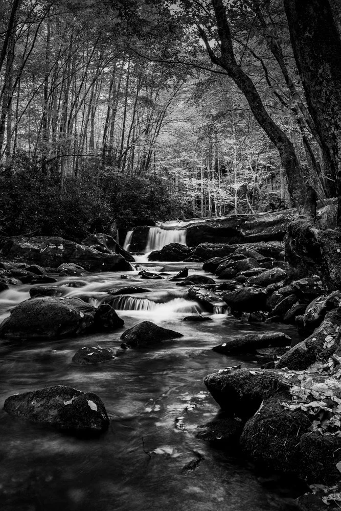 20151012 20151012 IMG_8194-Edit-2.jpg