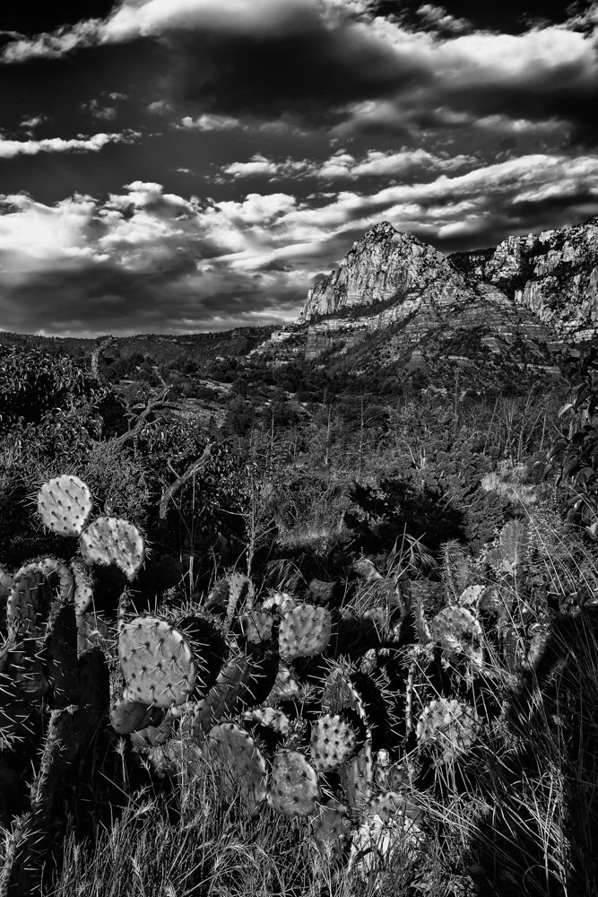 20150529 IMG_6754-Edit.jpg