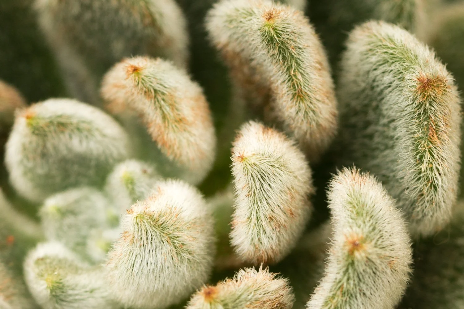 20150705 20150705 IMG_7445.jpg