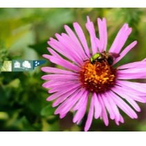 Sprout Your Smart Yard