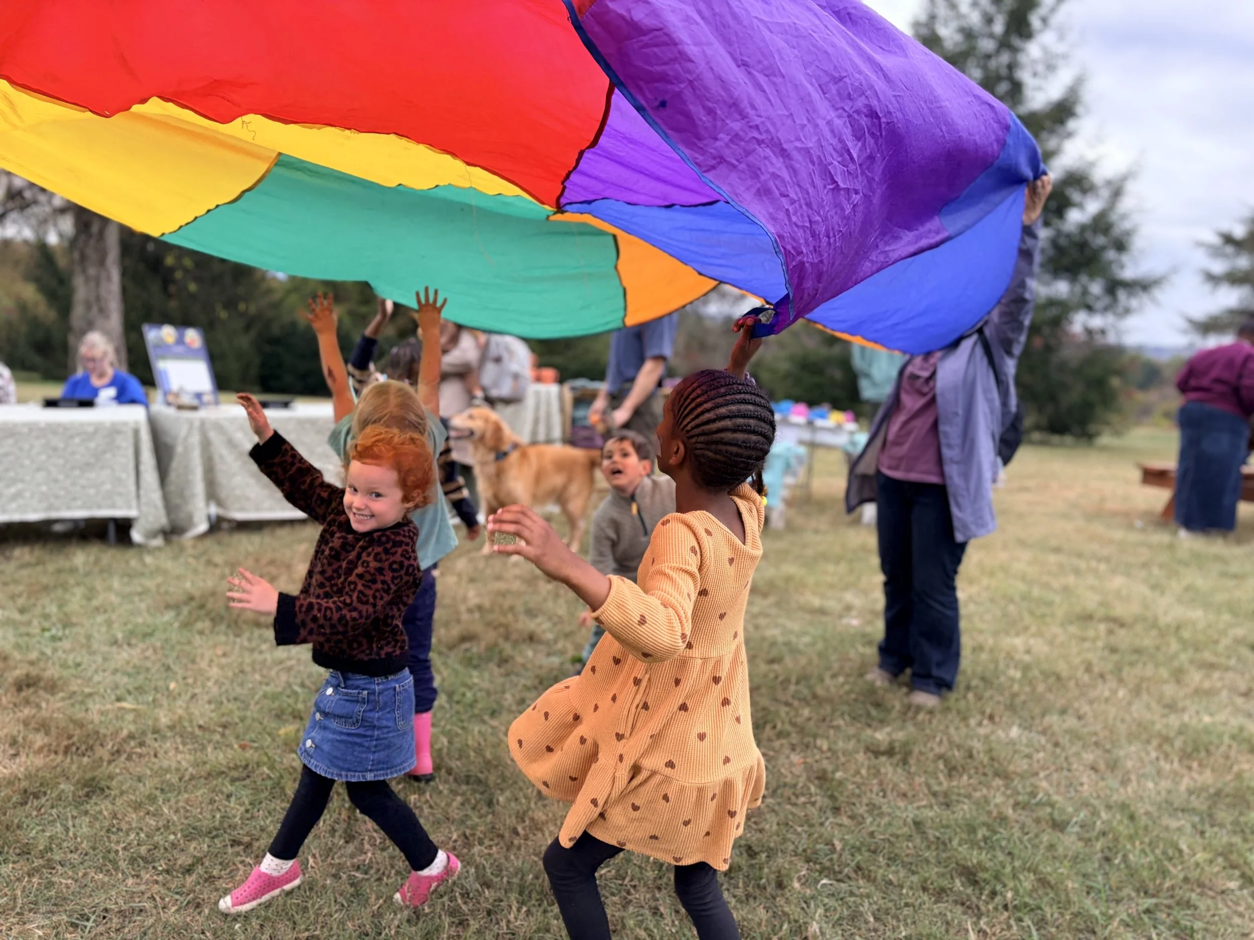 Fall Festival & Plant Sale