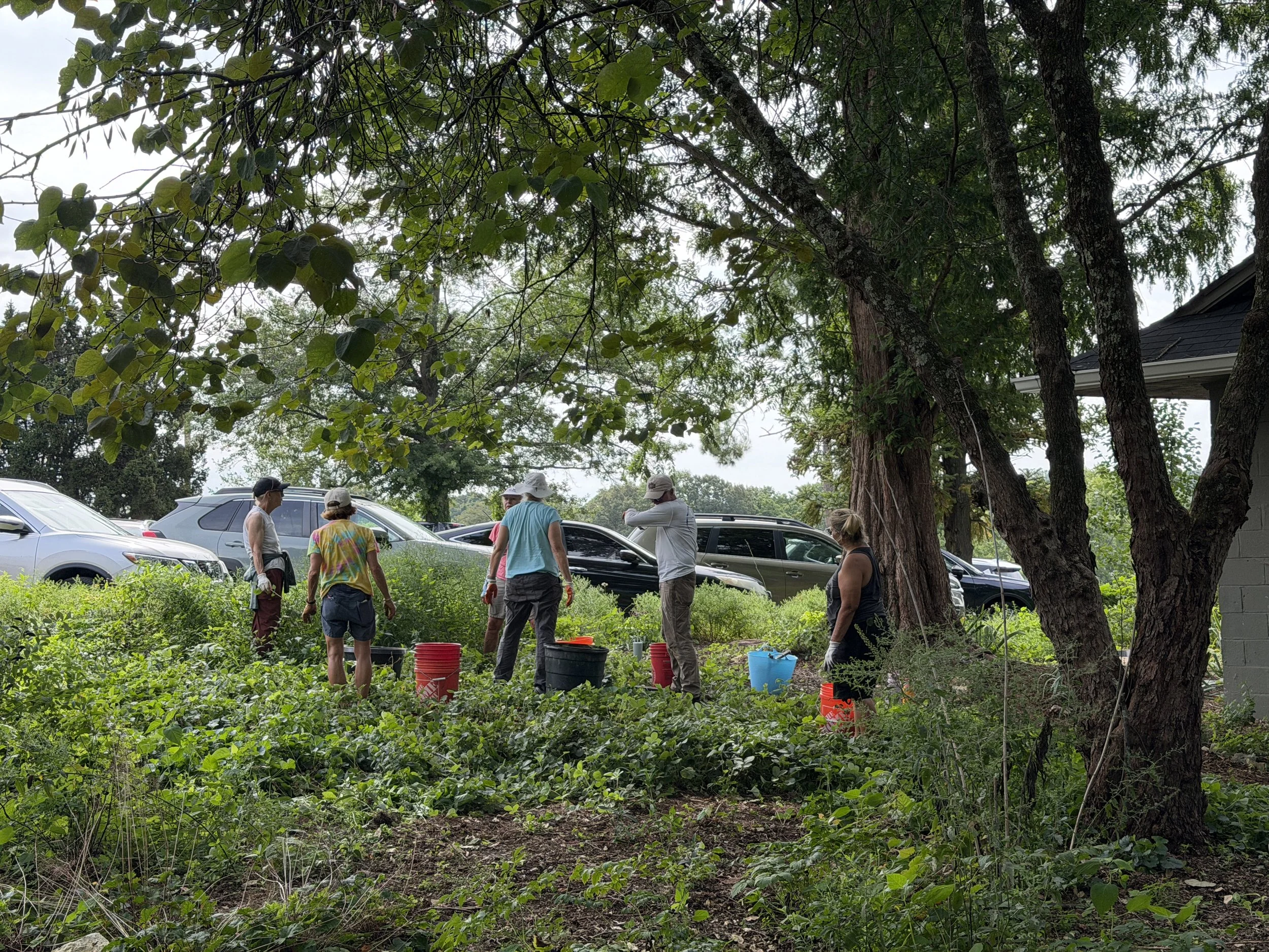 Medicinal Garden Planting - Special Work Day
