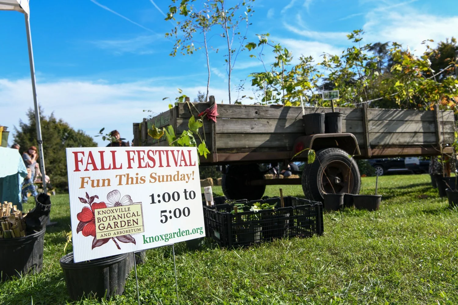 Set-Up Volunteers: Fall Festival & Plant Sale