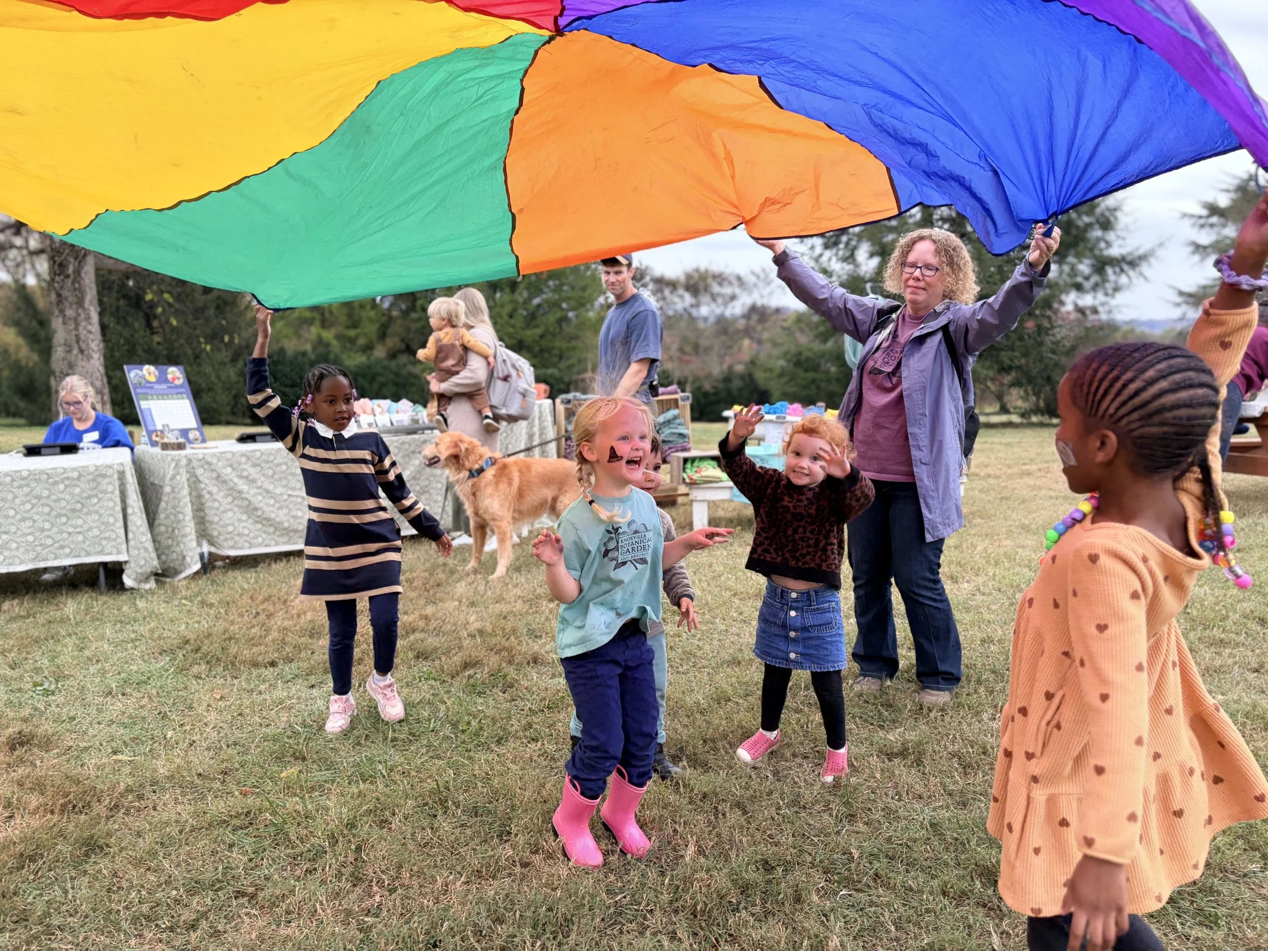 Festival Volunteers - Games, Face Painting & More: Fall Festival