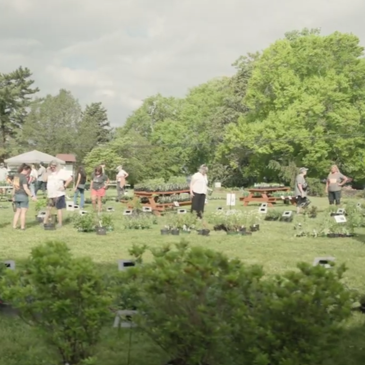 Event Breakdown Volunteer: Fall Festival & Plant Sale 