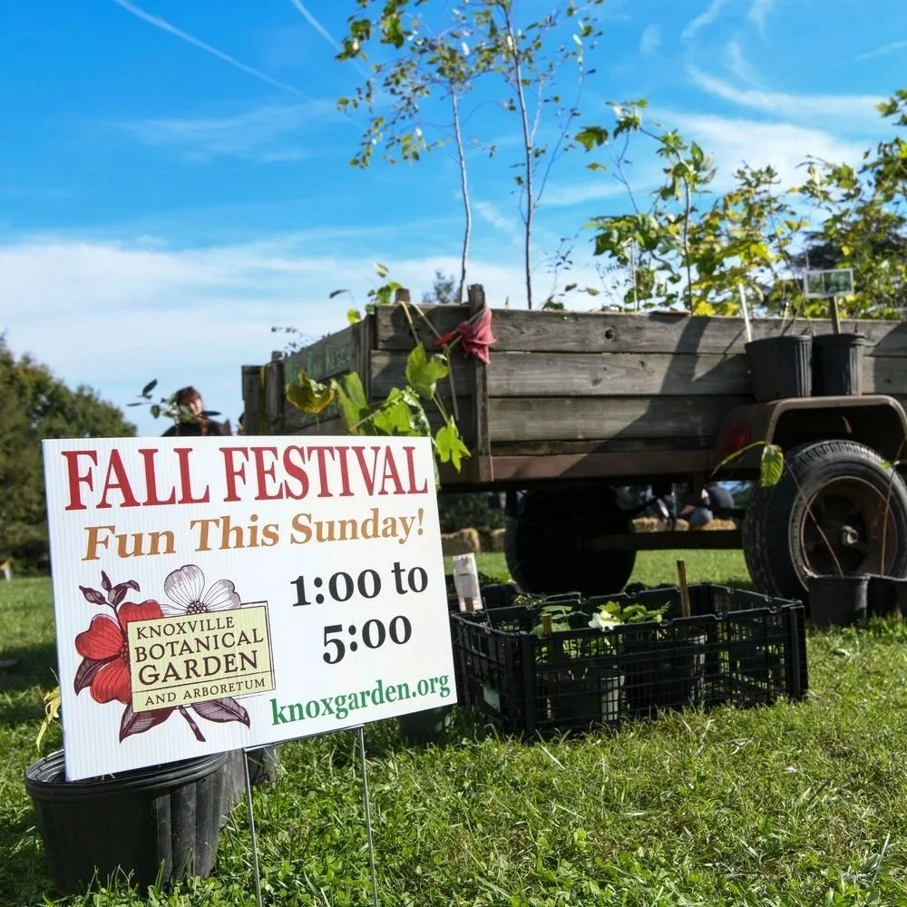Set-Up Volunteers: Fall Festival & Plant Sale