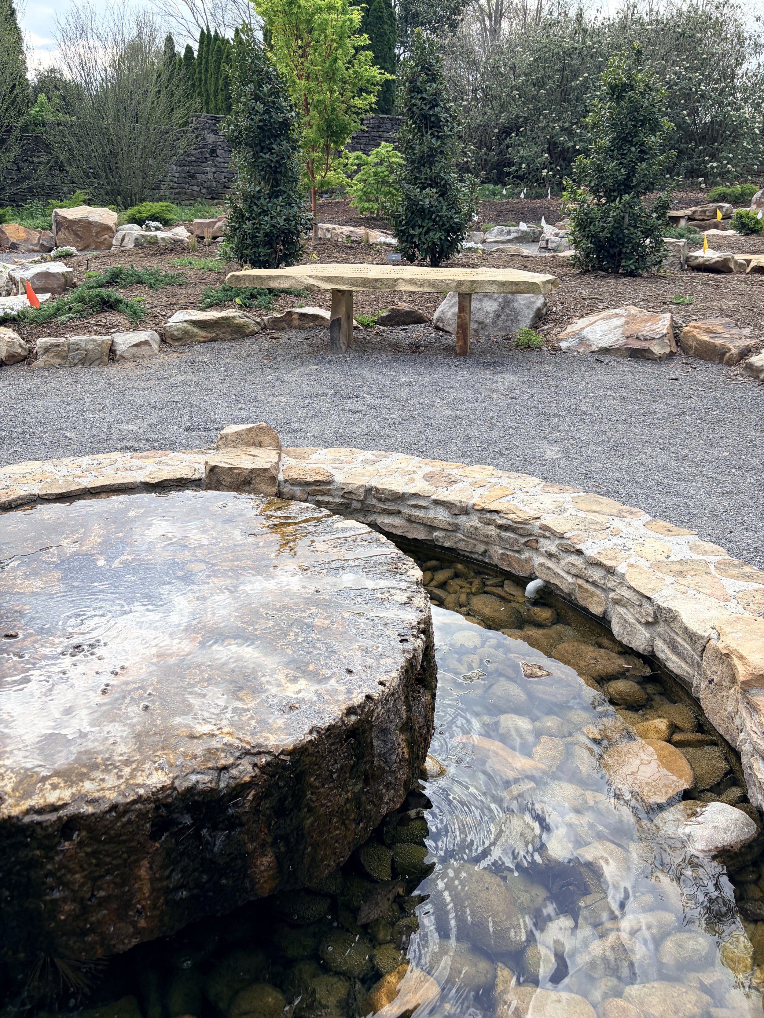Circle of Cedars