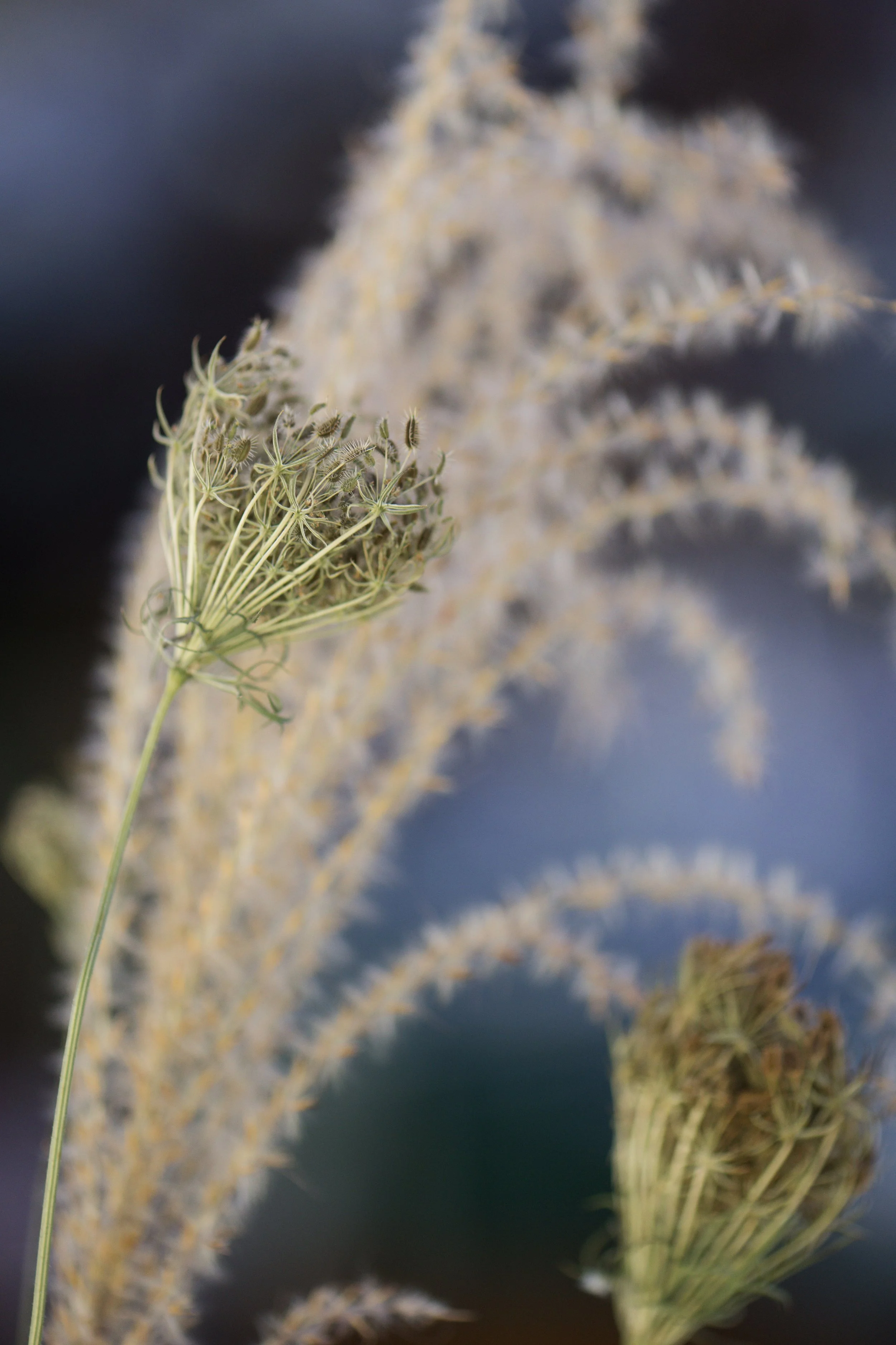 Green Thumb-4.jpg