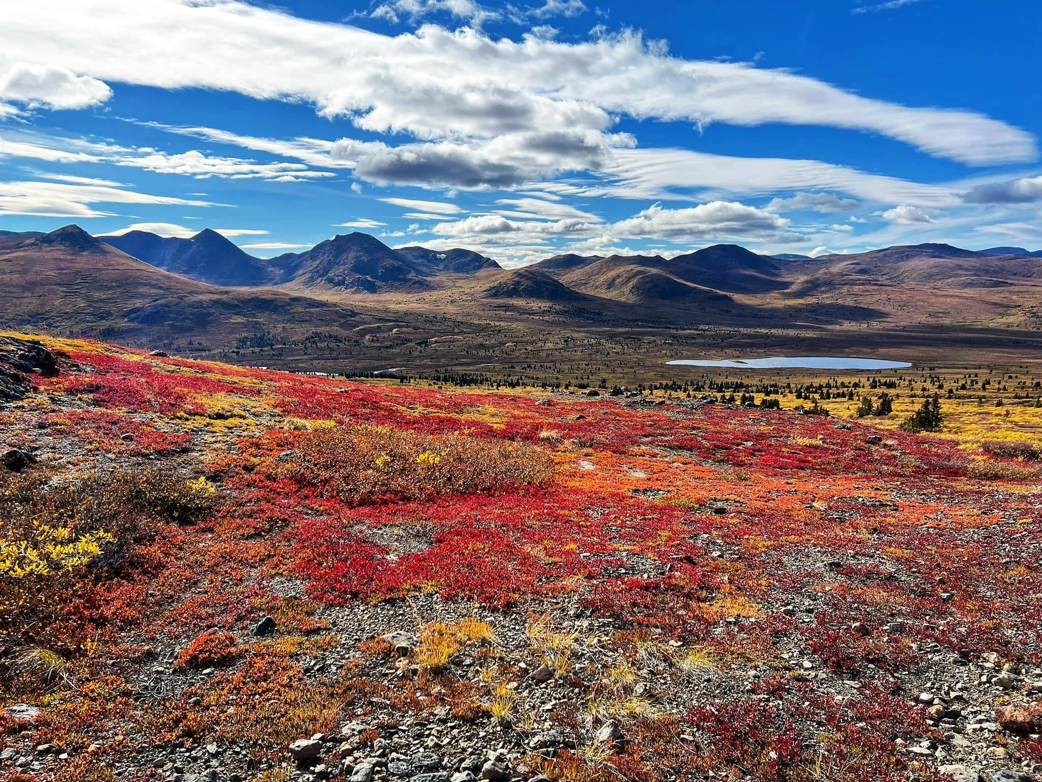 A vibrant landscape featuring a colorful array of red, yellow, and orange foliage in the foreground, with distant mountains, a small lake, and a partly cloudy blue sky in the background.