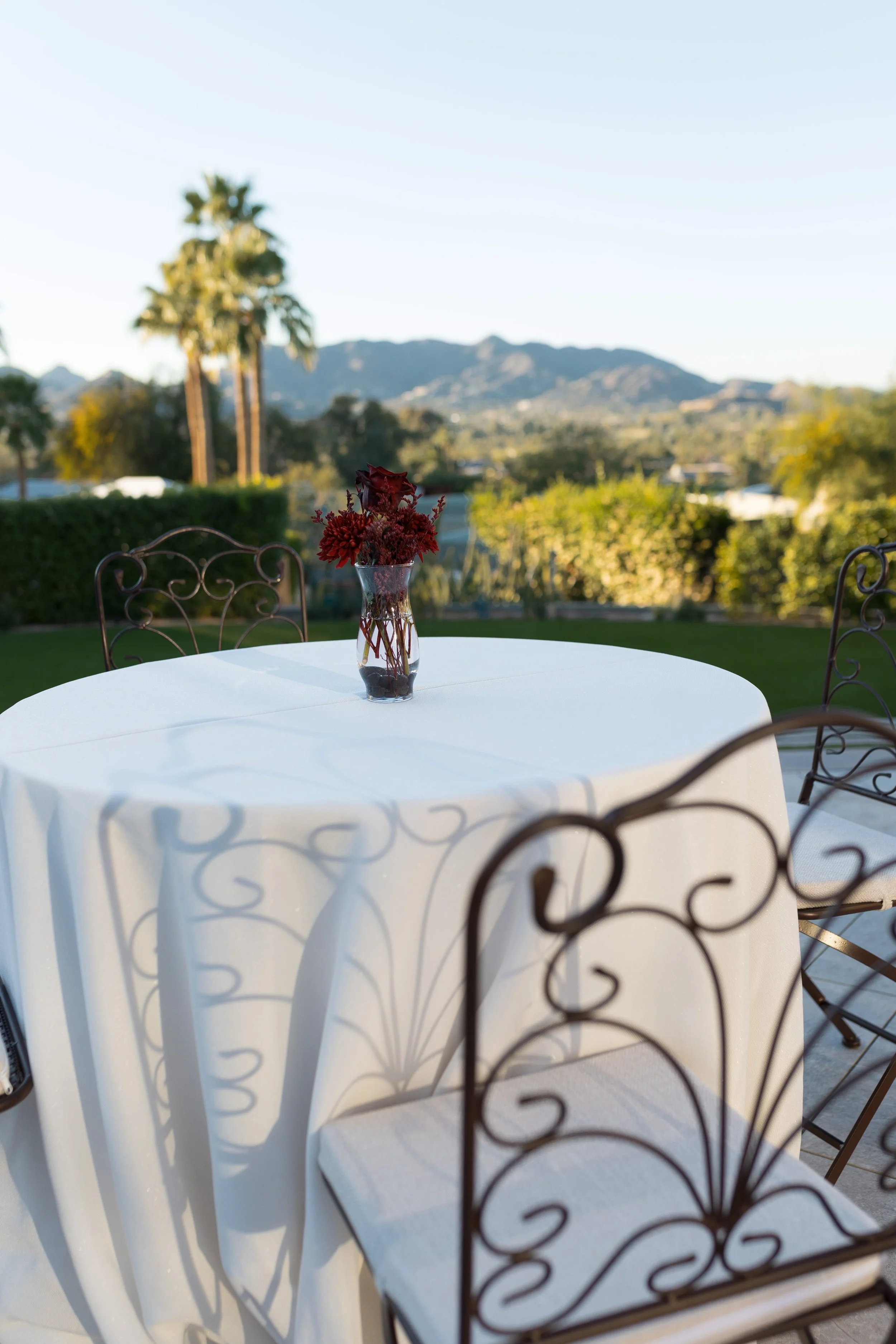 A white round table with a white tablecloth, a glass vase with red flowers, surrounded by ornate black metal chairs, outdoor setting with green trees, bushes, and a mountain in the background.