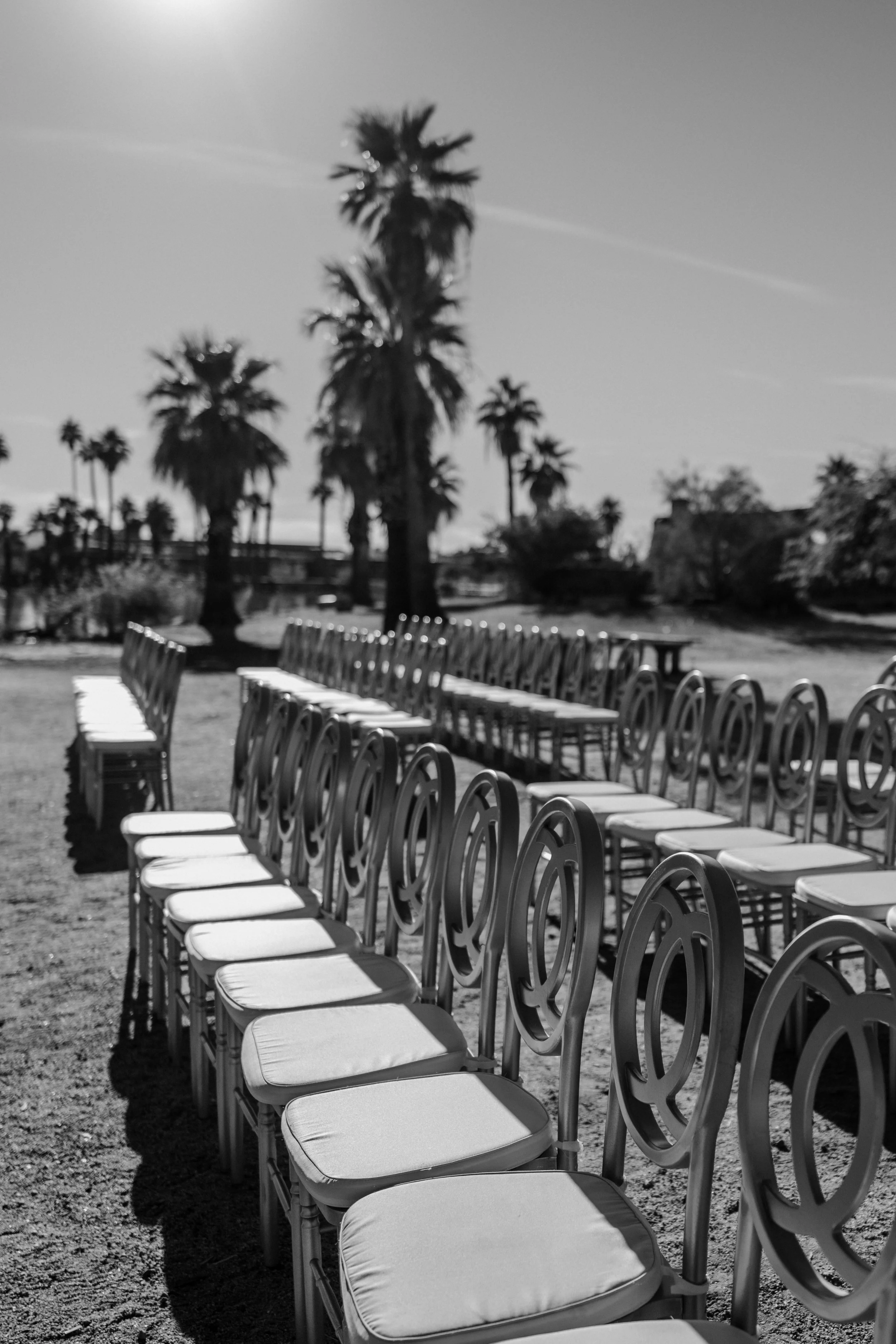 Empty outdoor park with white chairs arranged in rows, tall palm trees in the background, and a sunny sky with contrails.