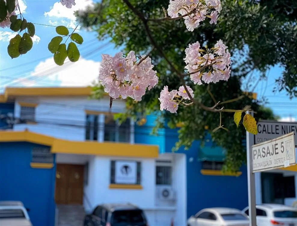 Morrison Hotel de la Escalón