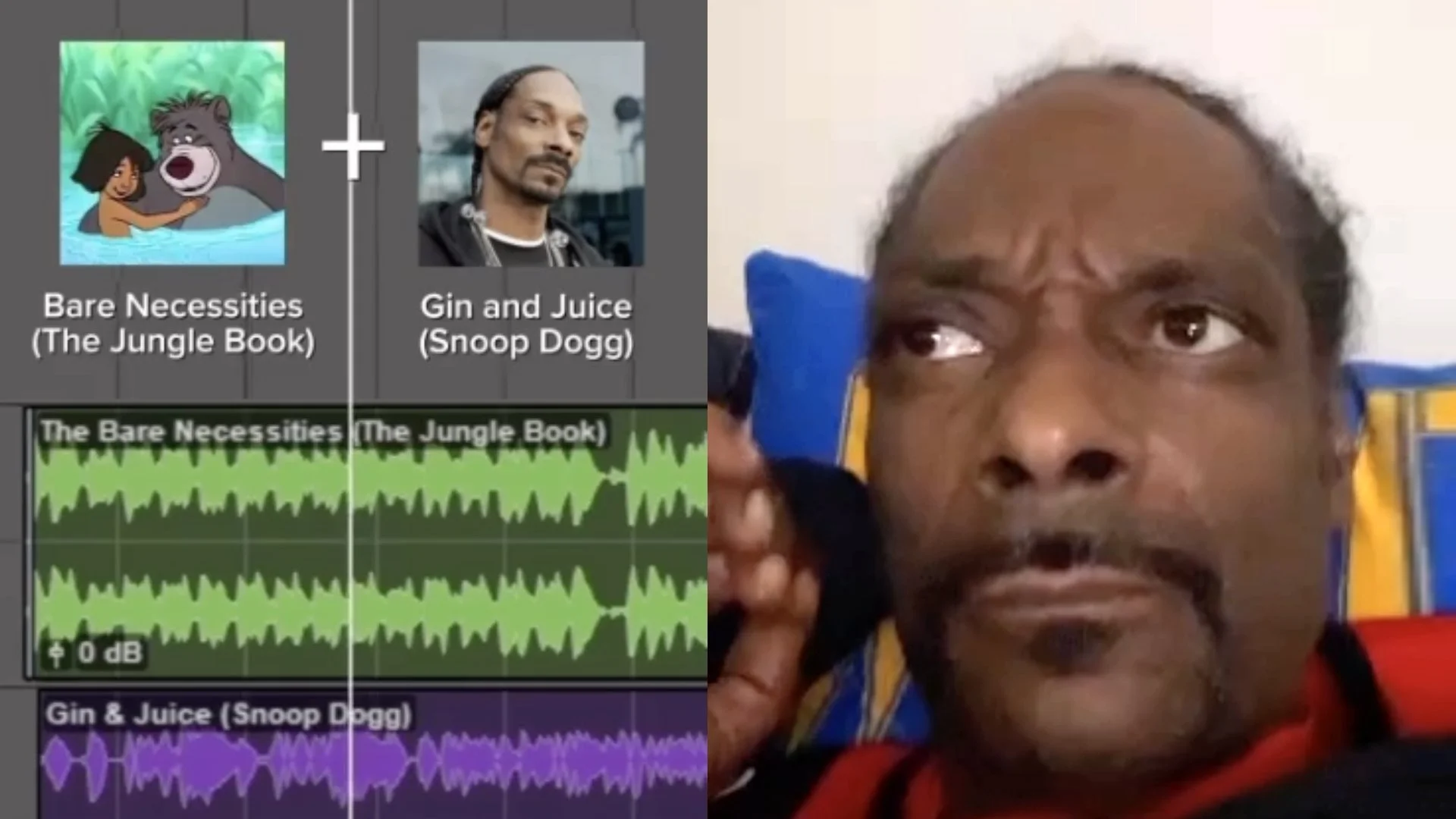 Snoop Reaction Thumb.jpg