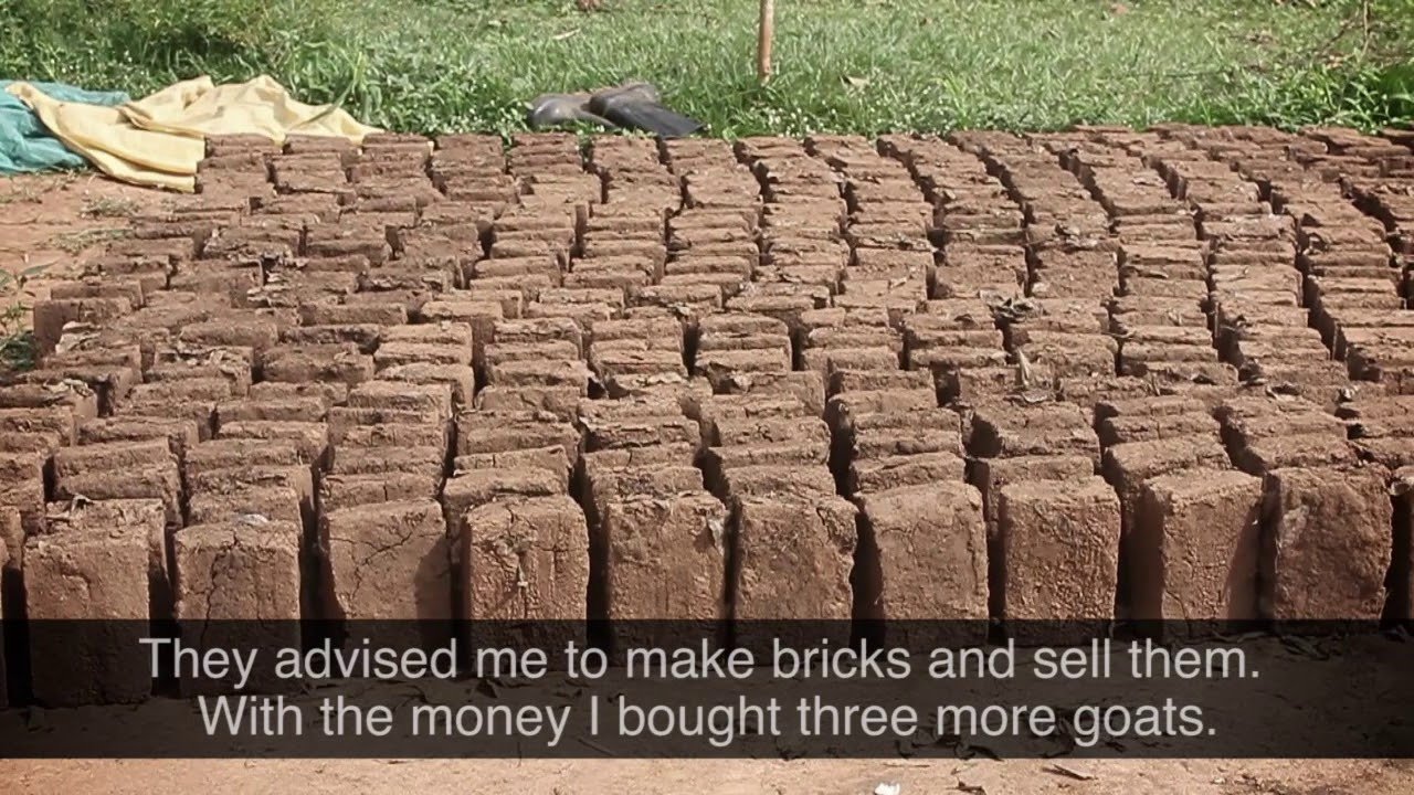 Blessed in the City; Blessed in the Country