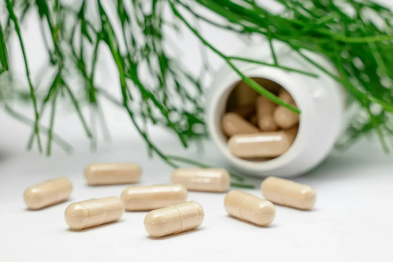 Supplements to support fertility naturally