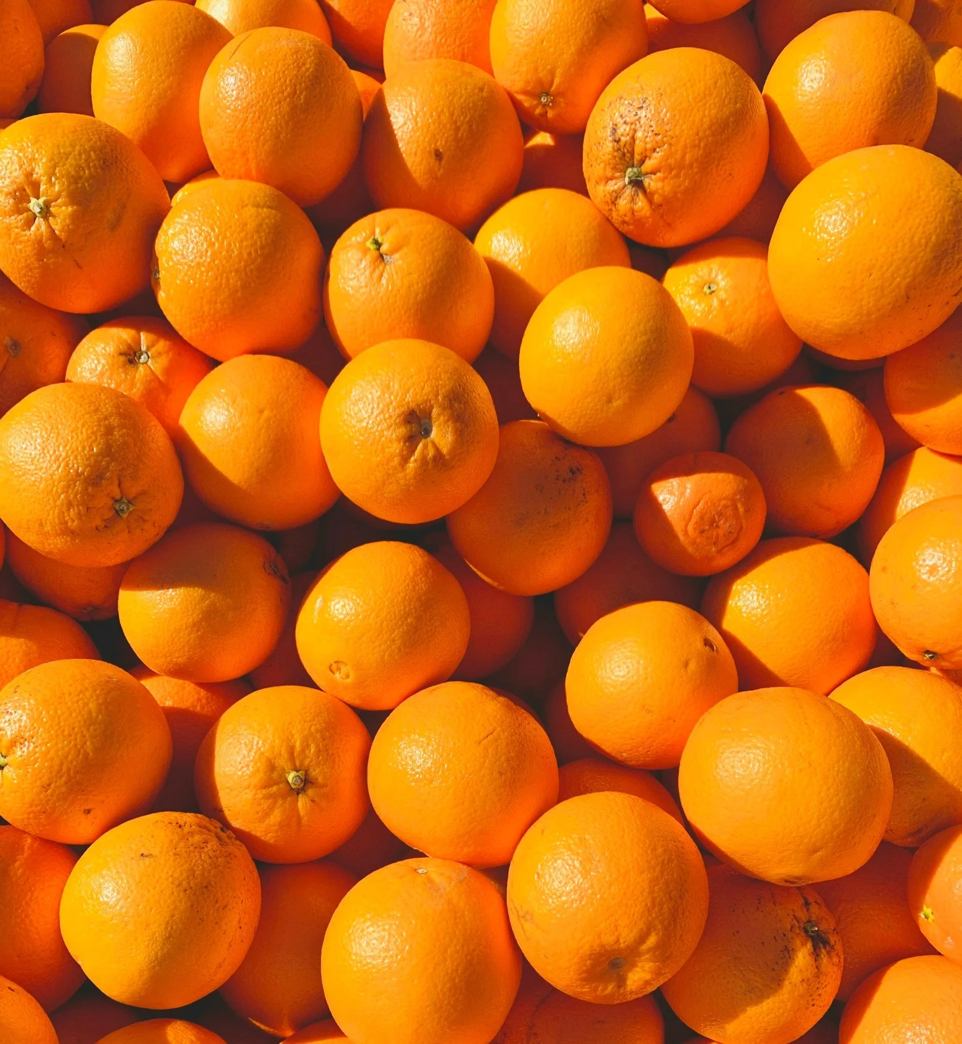 oranges