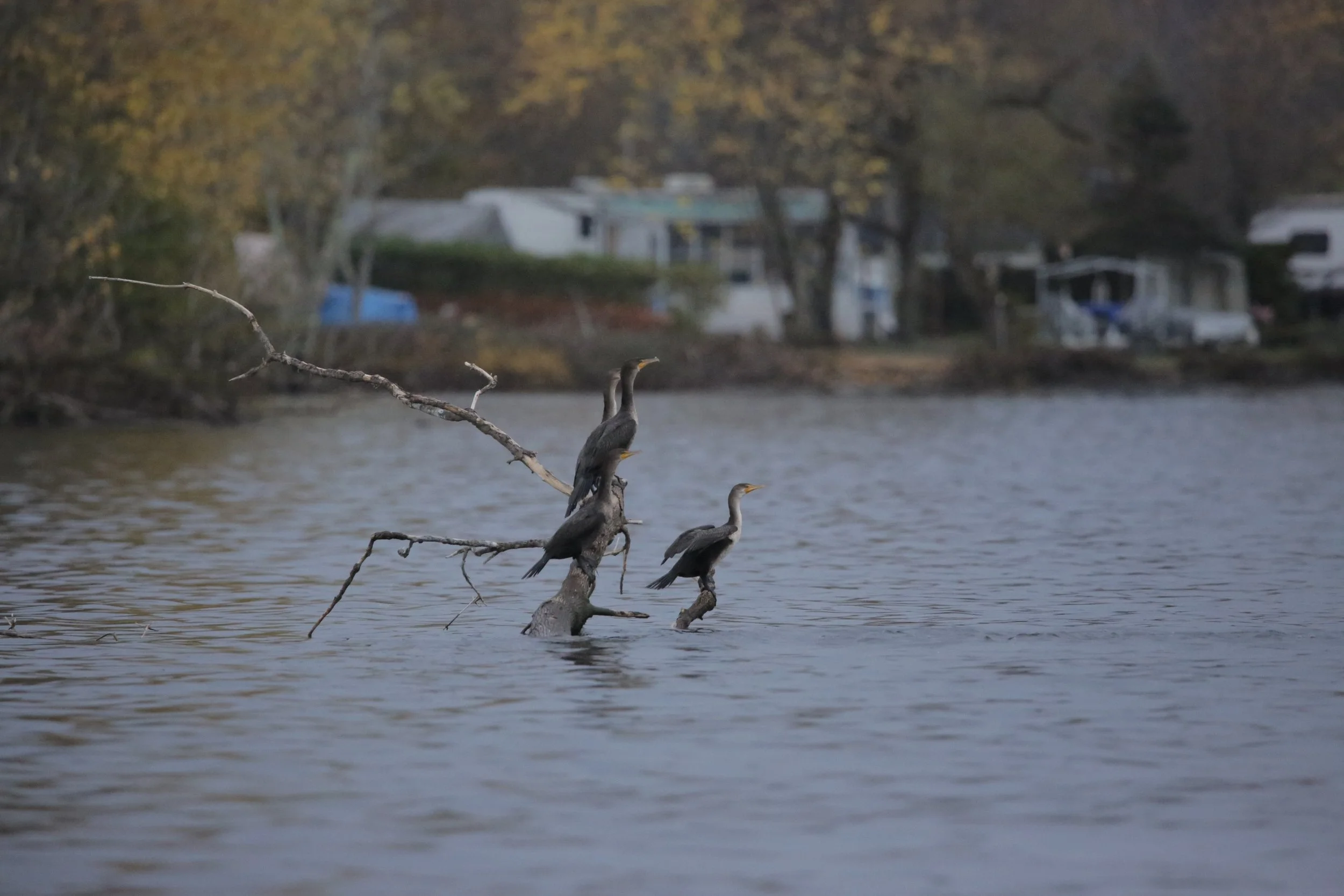 La température baisse, le travail continue