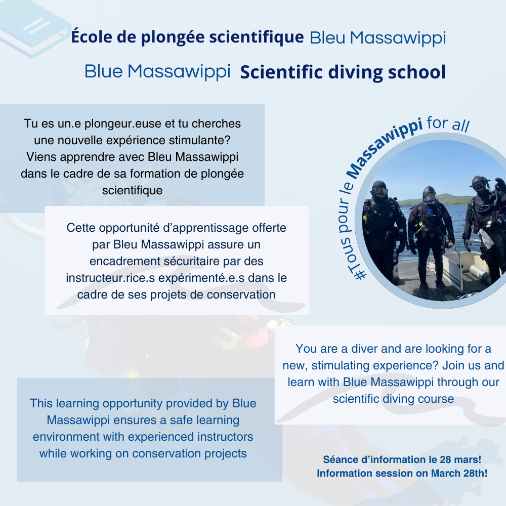 Appel aux nouveaux plongeurs!  