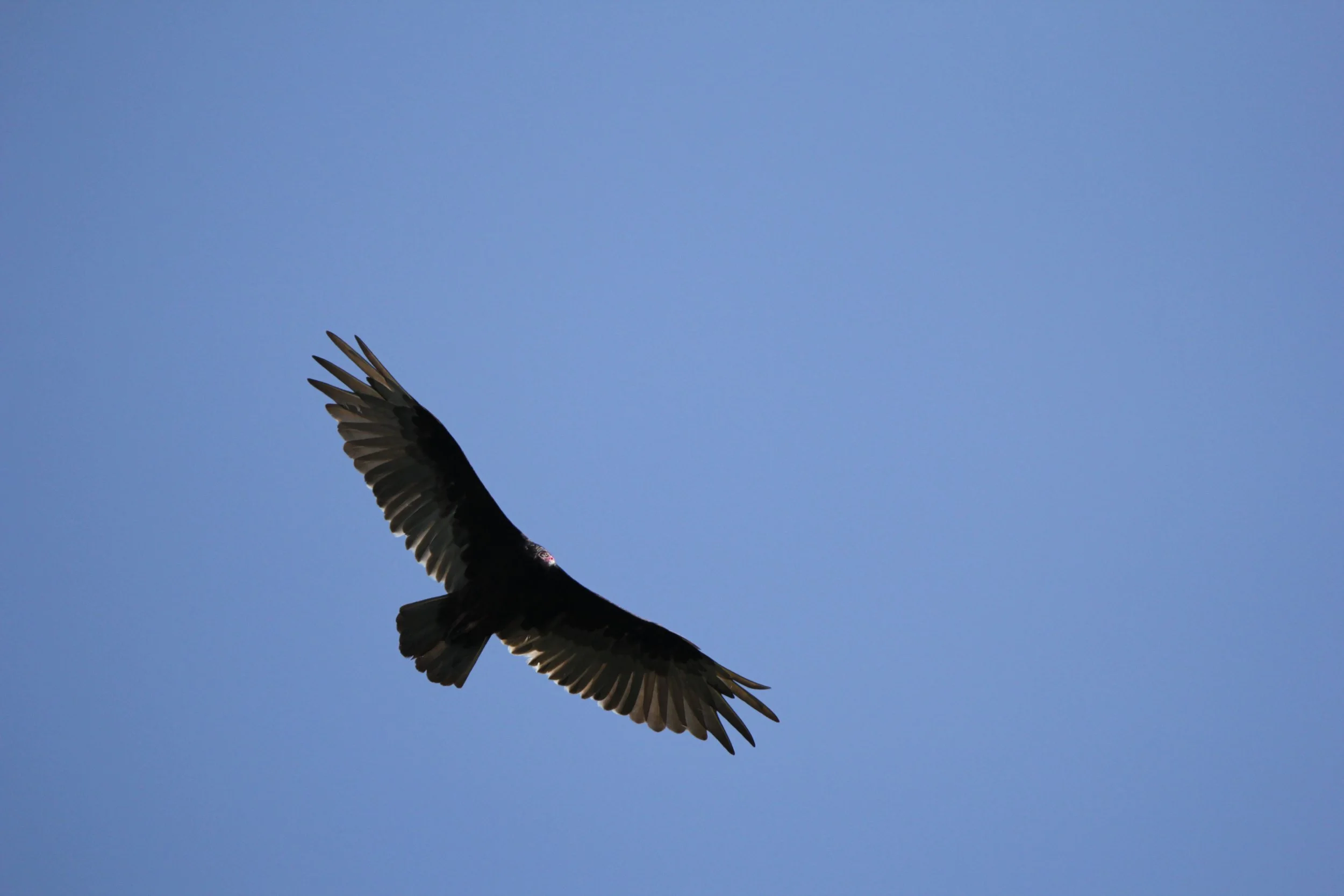 La saison de terrain est à nos portes!