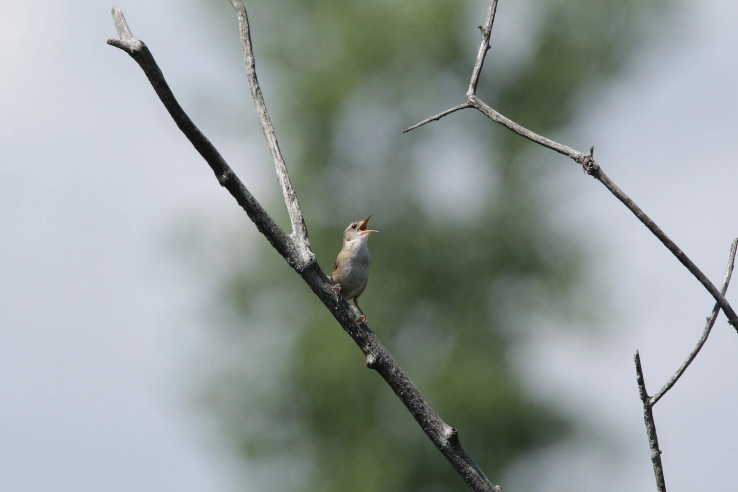 Bleu commence sur le terrain!