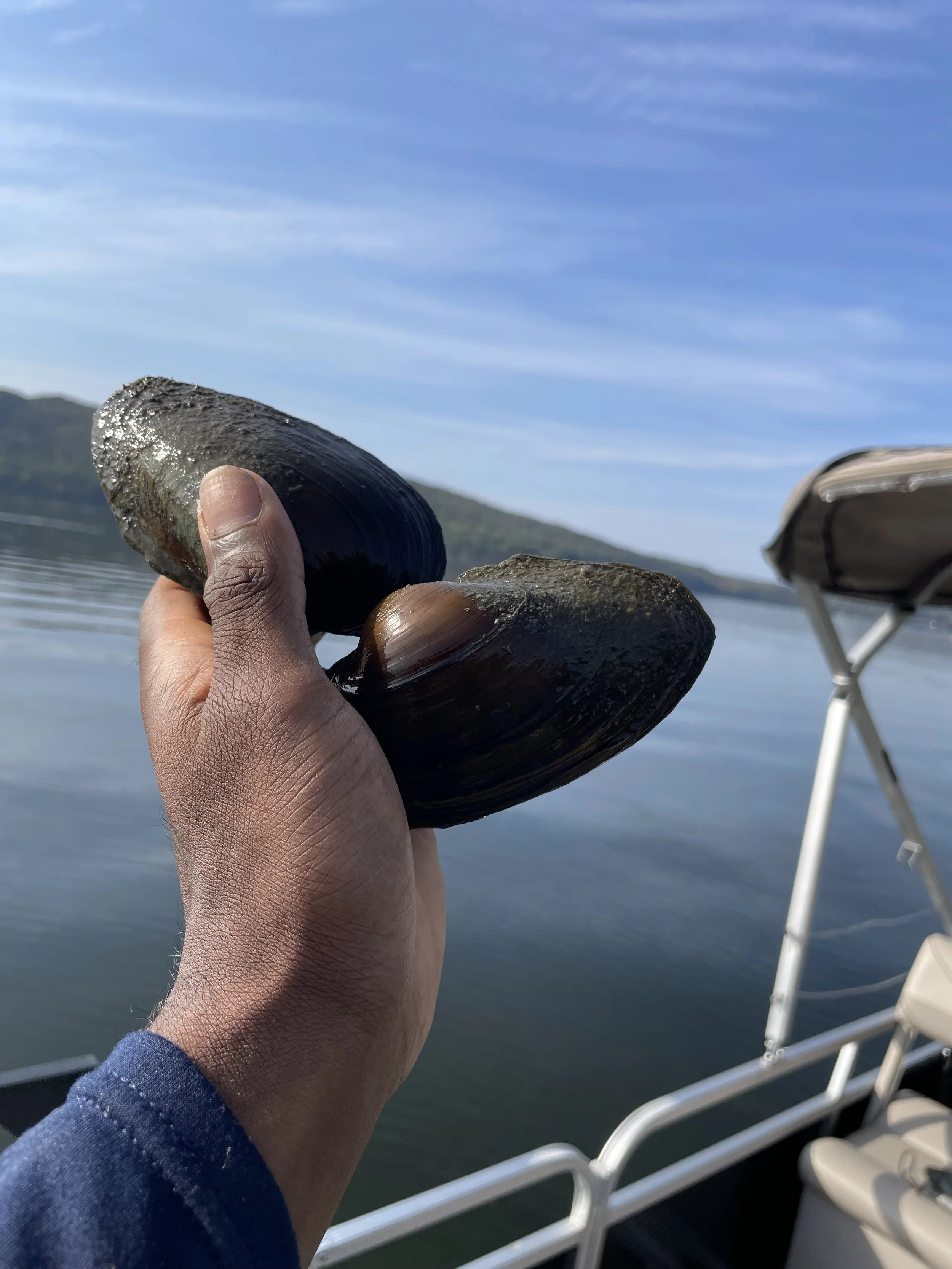 Des projets pour une nature plus bleue