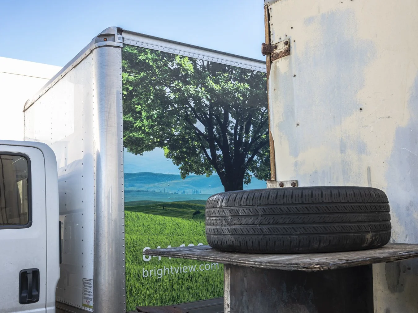 Tire Tree.jpg