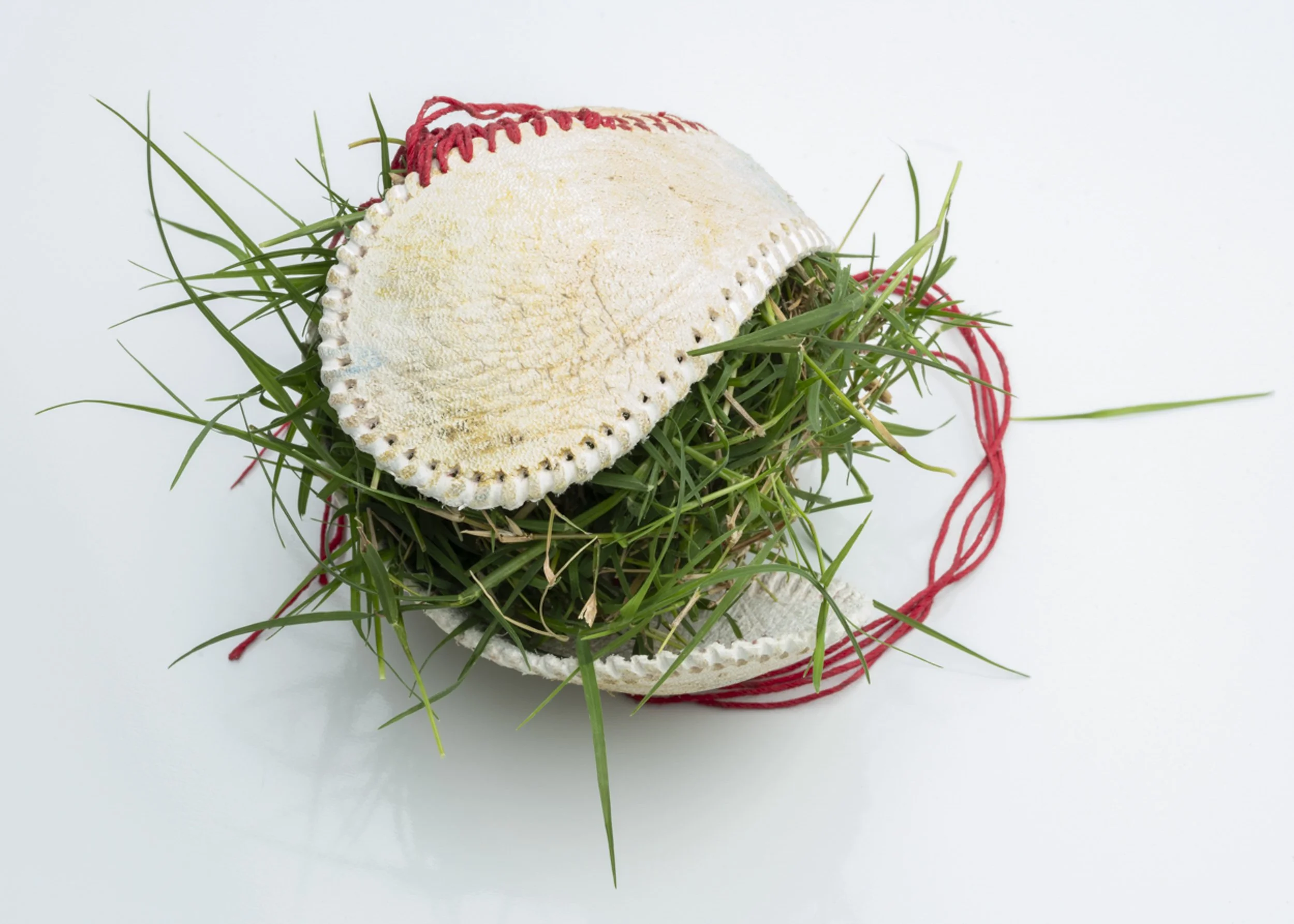 Piquin and Frisbee-5131.jpg