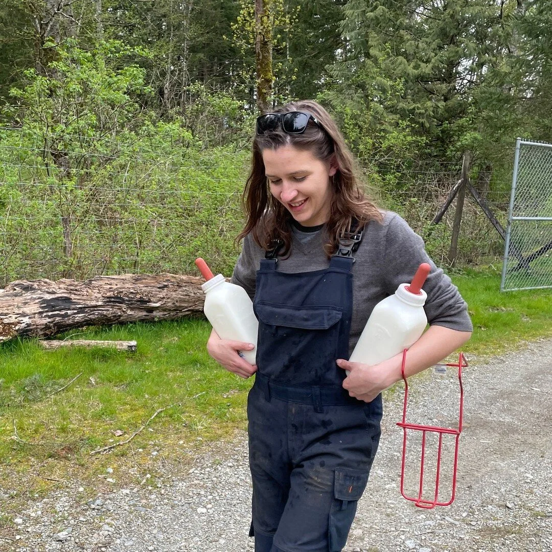 So THIS. Bottle feeding calves X3 a day. Lots of rain but even more smiles :) 

#smallfarm #missionbc #homestead #agriculture #livestock #bottlefeeding #calves #farmlife #morningwalks #dailychores #lovinglife