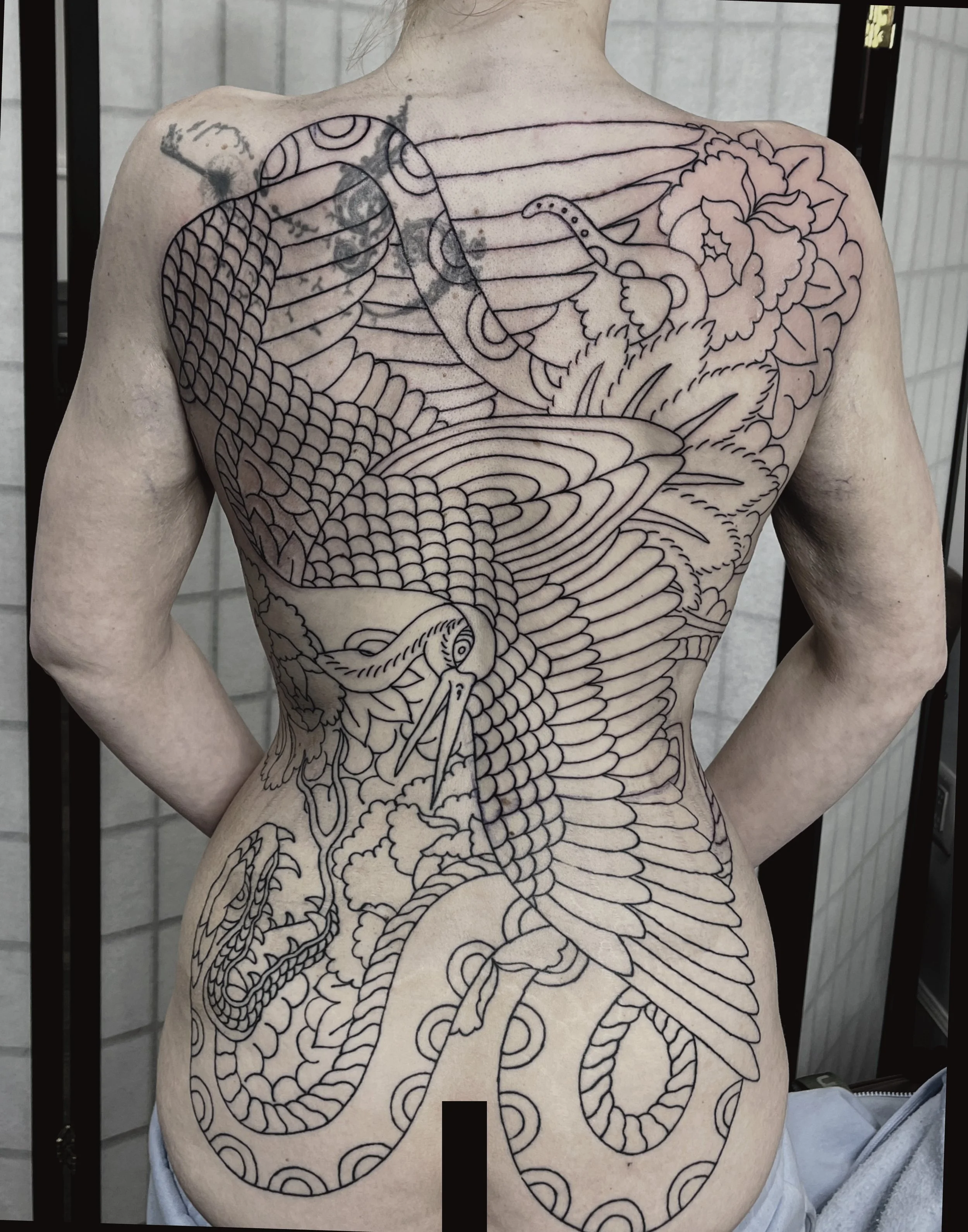 Untitled_Artwork 226.jpg