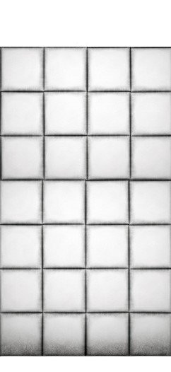Asylum Padded Walls