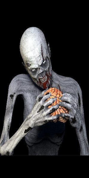 MC 0006