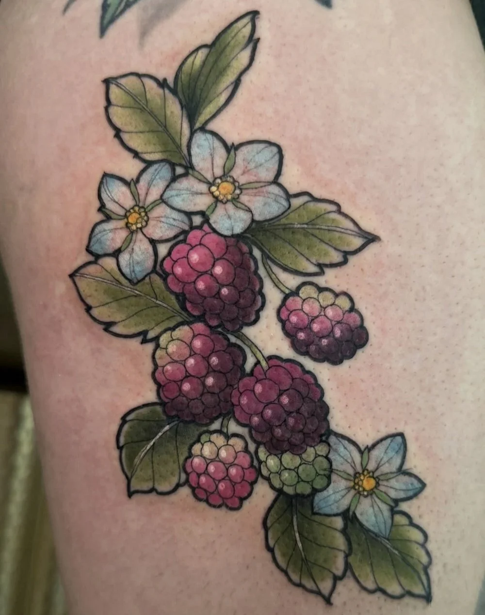 tattoo of berries and flowers showing a successful tattoo healing process