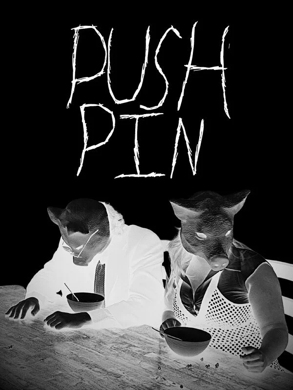 Push Pin