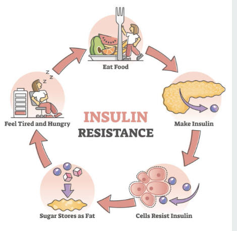 Insulin Resistance: What It Is, Why It Matters, and How to Improve It