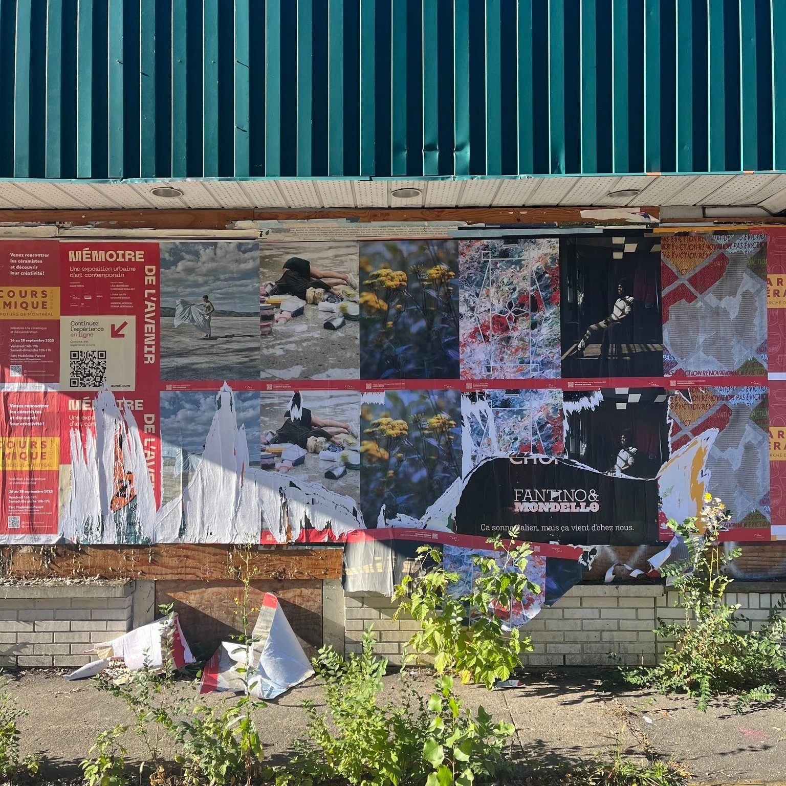 📍Rosemont / Molson... after ✨ Thank you all for your involvement in the Mémoire de l'avenir 2025 exhibition. See you soon ❤

@leulieshraghi @florenciasosarey @lornabauer @c4pickasiette @andrewjackson_art @s