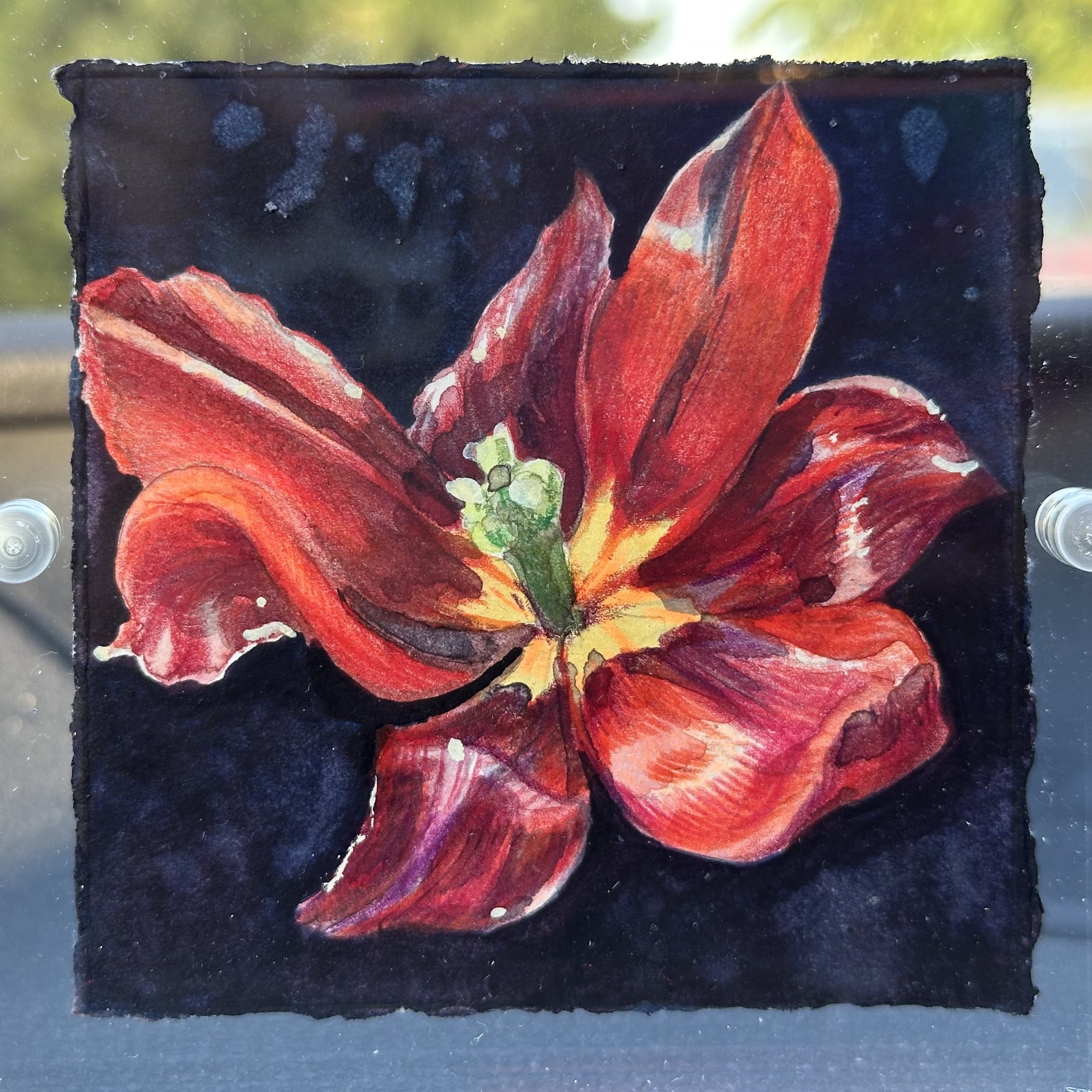 Watercolor + color pencil, 2025