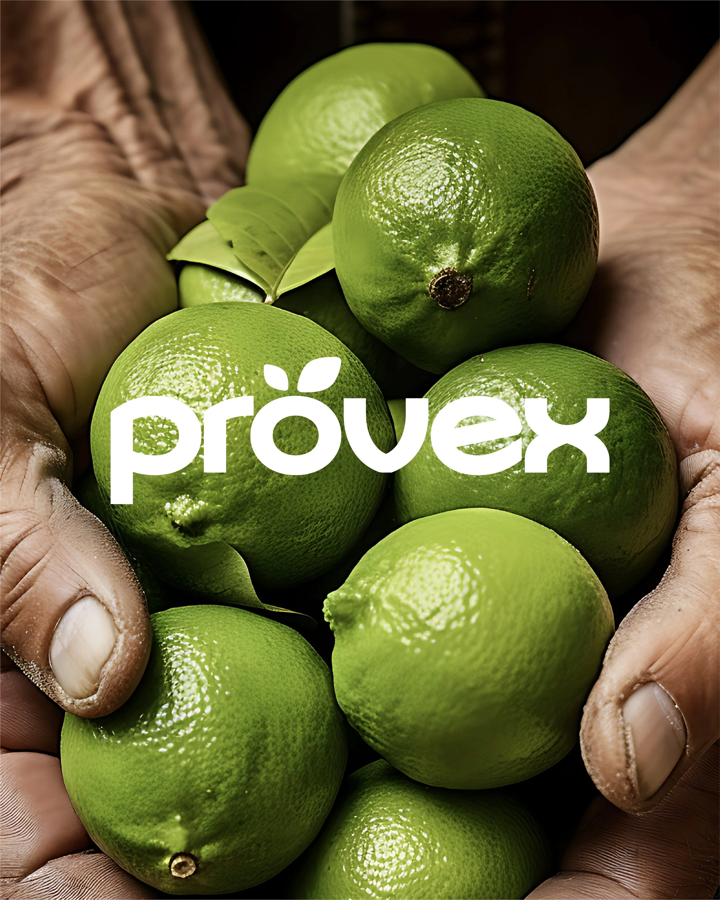 Mesa de trabajo 10@300x-100.jpg