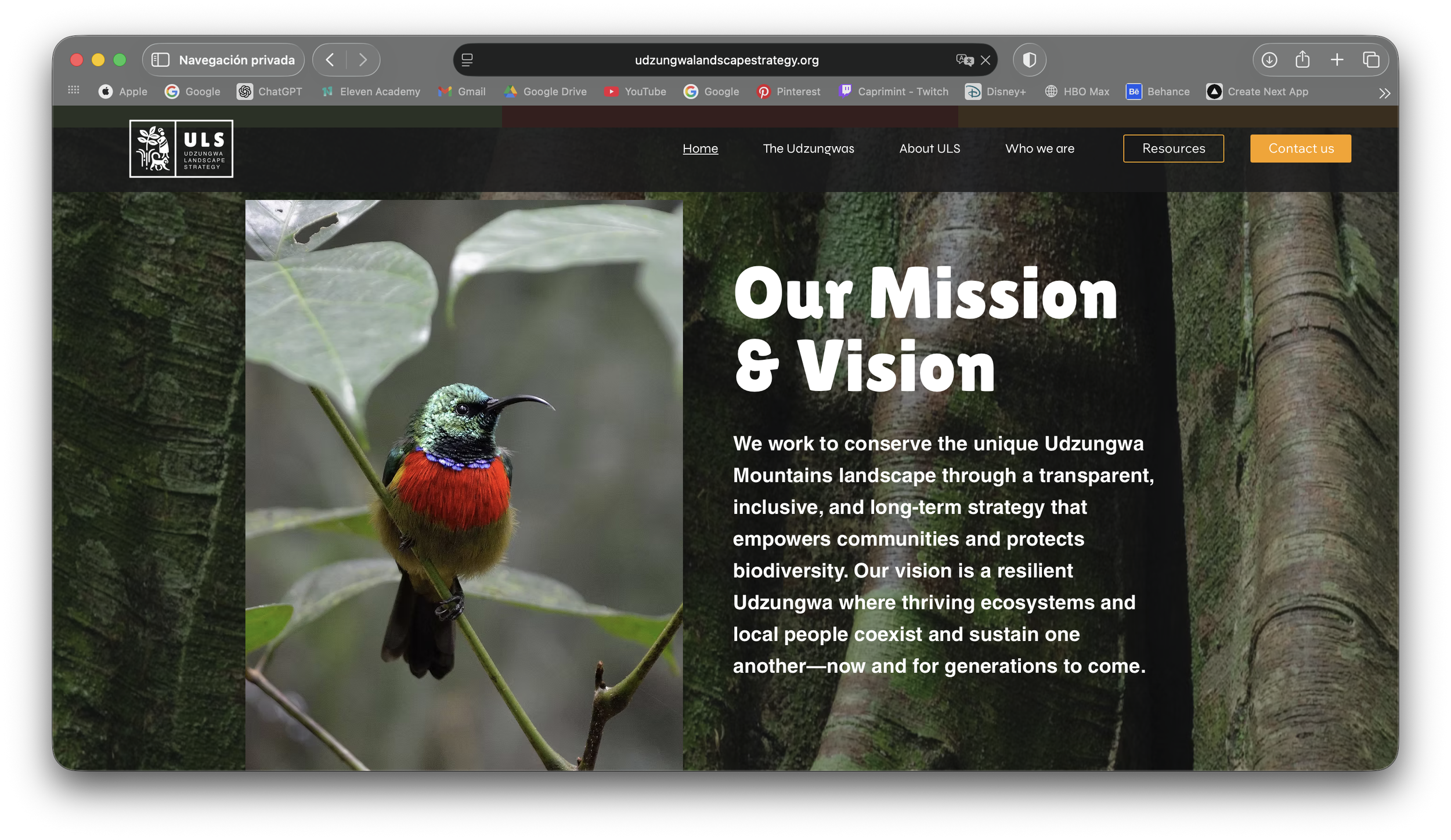 Captura de pantalla 2026-03-23 a la(s) 12.55.03 a.m..png