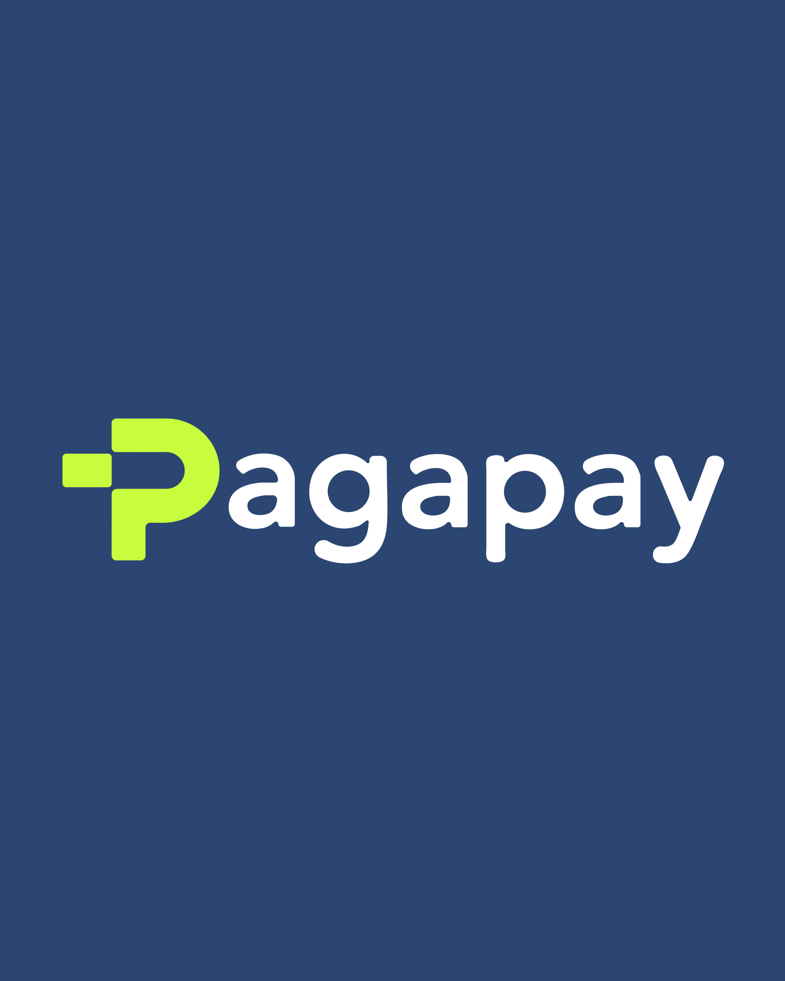 paga-pay-logo-1.gif