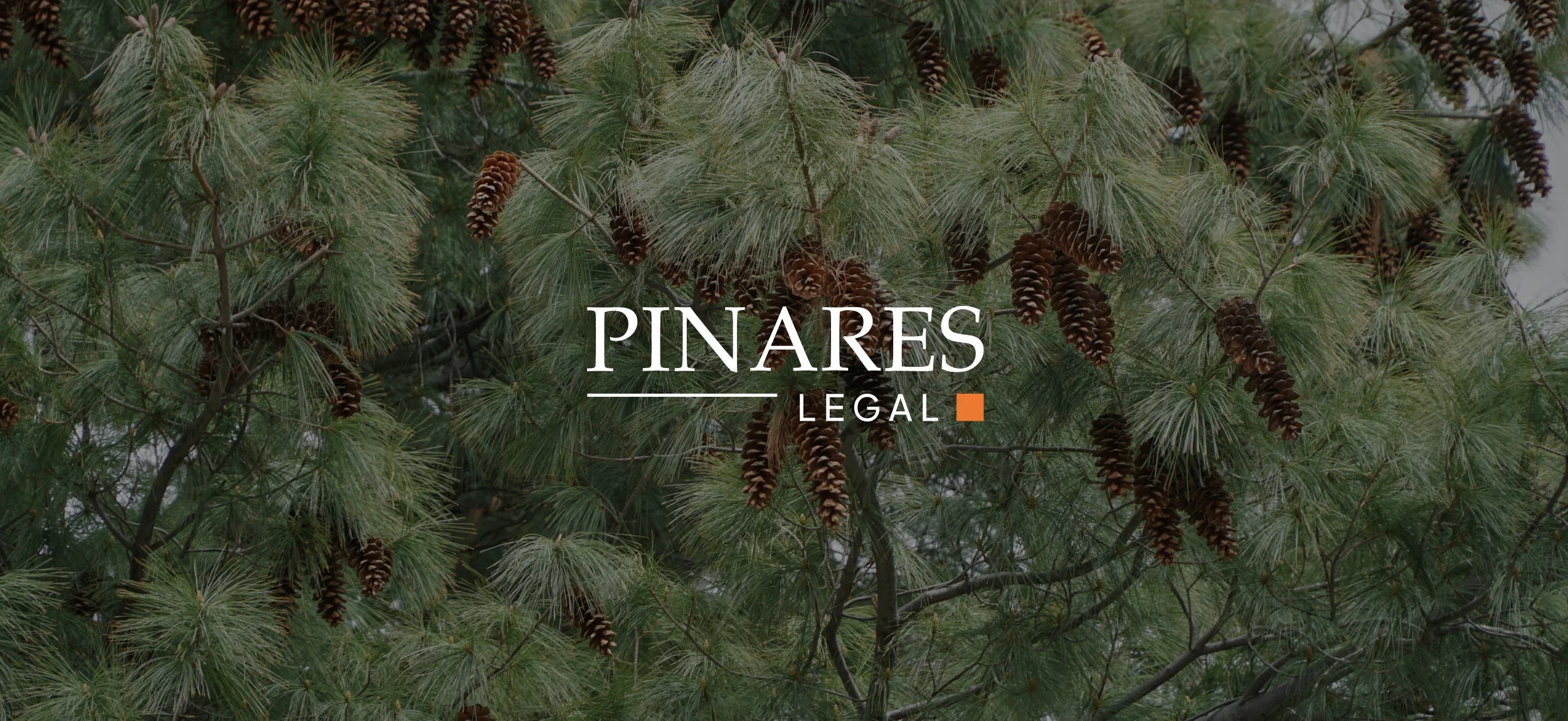 Manual de Marca Pinares Legal