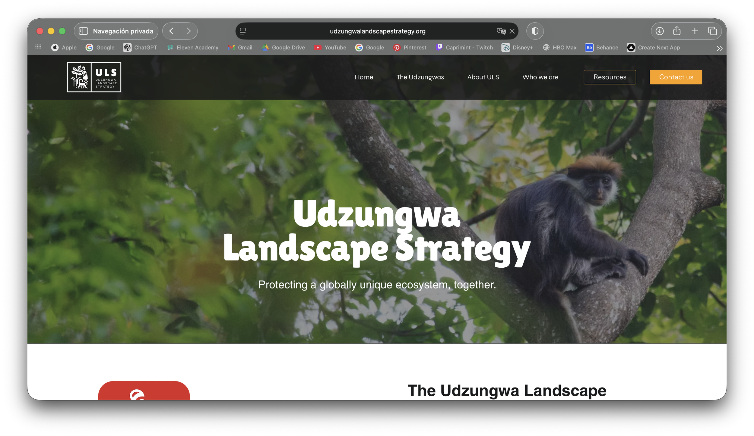 Captura de pantalla 2026-03-23 a la(s) 12.54.56 a.m..png