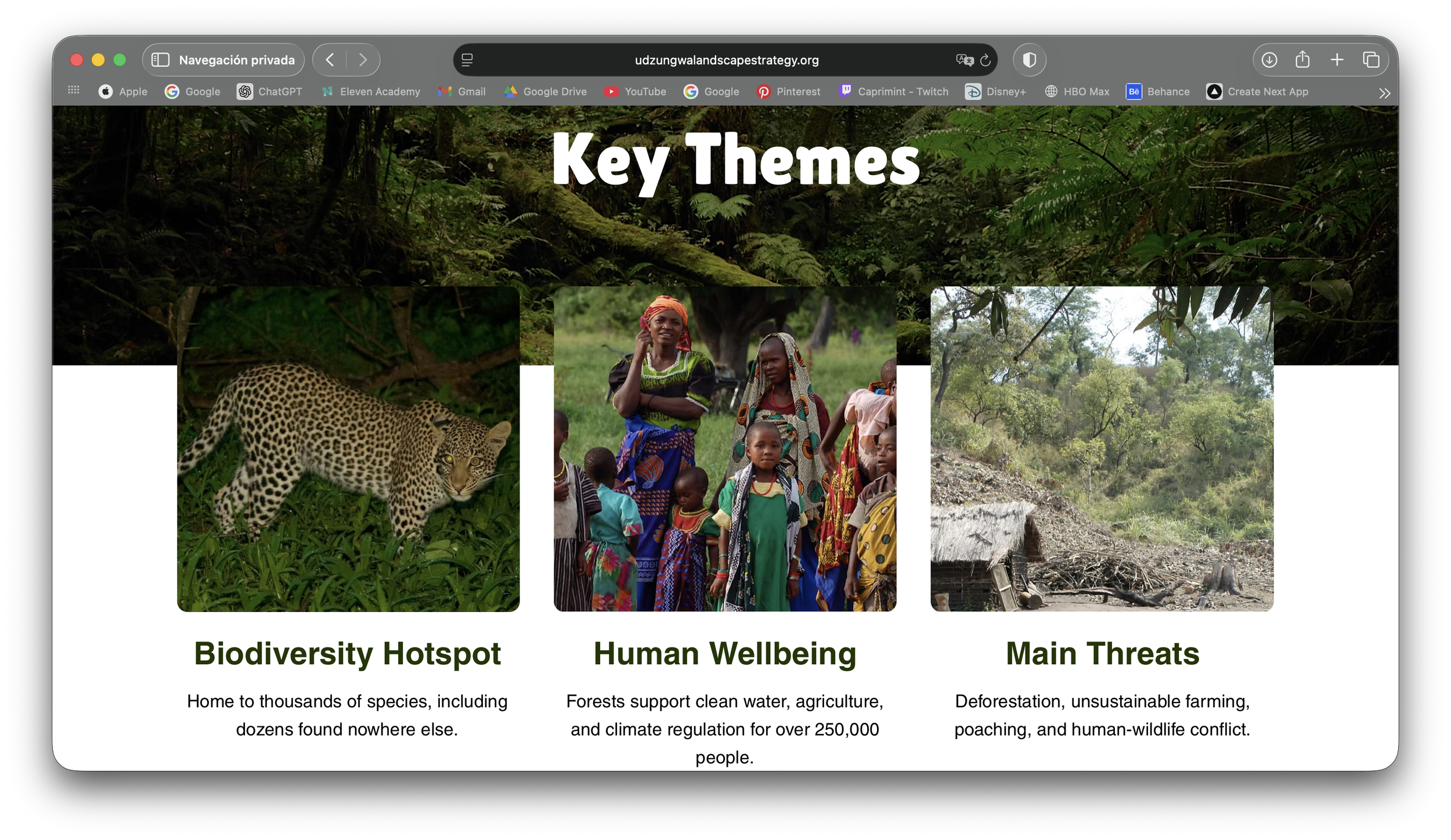 Captura de pantalla 2026-03-23 a la(s) 12.56.12 a.m..png