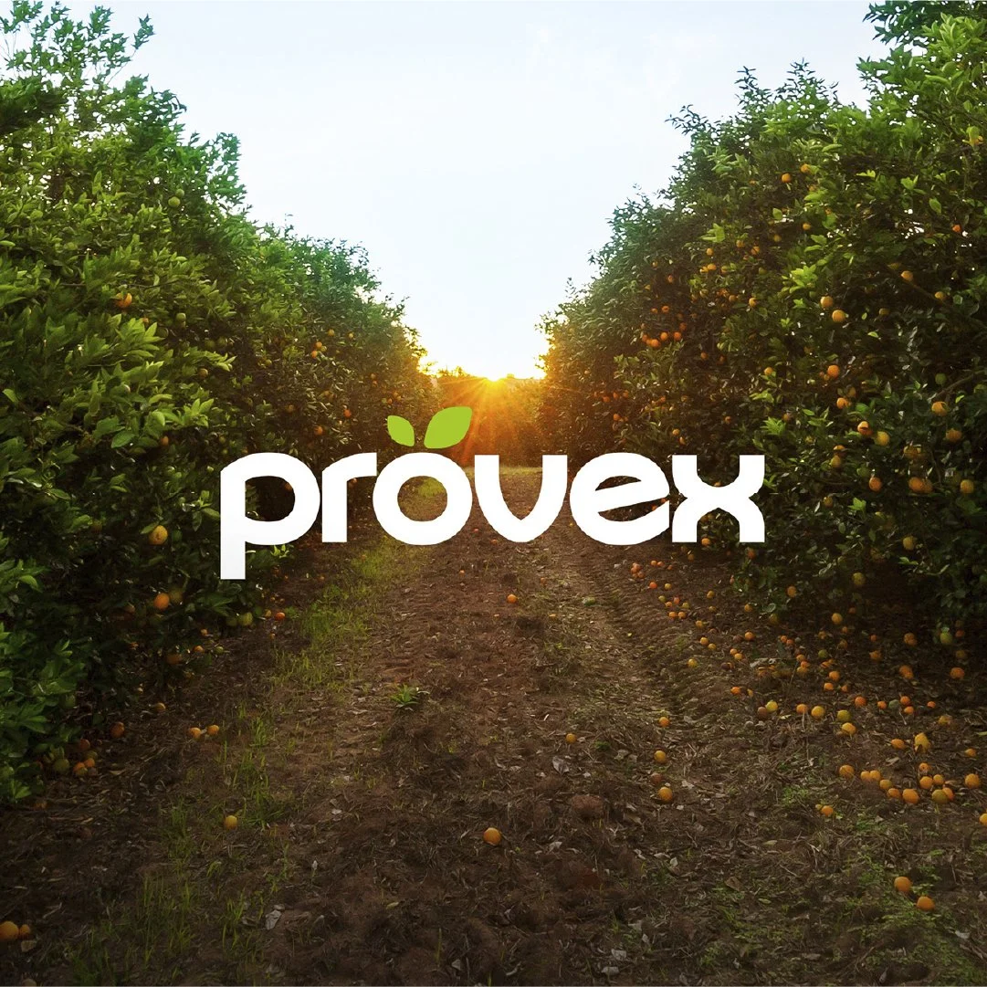 Branding - Provex