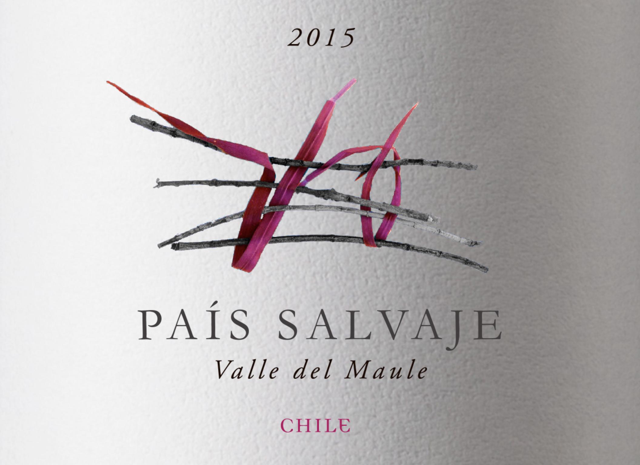 Captura de pantalla 2026-02-11 a la(s) 4.39.12 p.m..png